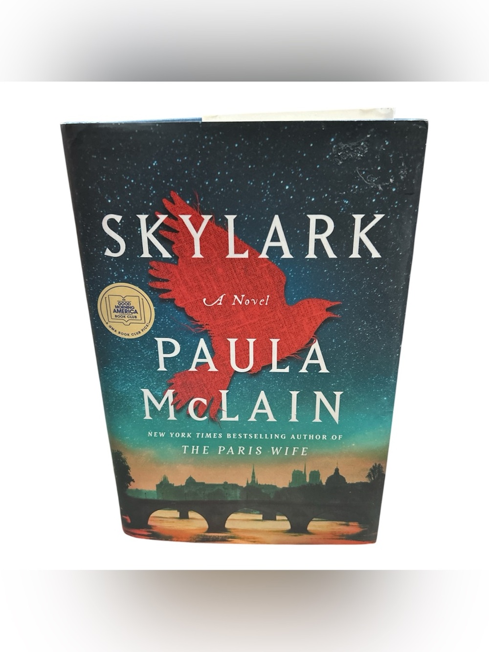 FICTION🌟🌟🌟SUMMER READING- SKYLARK BY PAULA McCLAIN(2026)